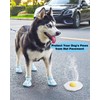 Tuqila Dog Boots for Hot Pavement & Snow, Waterproof Non-Slip