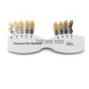 Unbranded Dental IPS Natural Die Material Shade Guide Ivoclar Vivadent