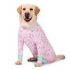 Pink Pony Surgery Recovery Suit Female Male for Dogs After