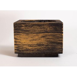 Cali Kiwi Pros Cat Grass for Indoor Cats – Organic Grass Kit with Interactive Flippy Fish Toy (Black Gold)