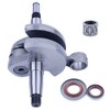 Gubeter Crankshaft Kit for Stihl 065 Ms650 066 Ms660 Chainsaw