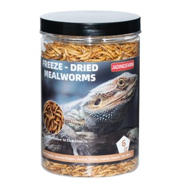 JADINGSFARM Freeze Dried Mealworms 6 Oz - High Protein Pet Food for Reptiles, Bearded Dragons, Birds & Hedgehogs - Nutrient-Packed Treat for Lizards, Geckos, Turtles, Chickens