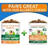 BARK&SPARK Vet Strength Dog Probiotics Chews - Gas, Diarrhea, Allergy,