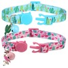 BoomBone Cactus Cat Collar with Bell and Matching Charm, 2