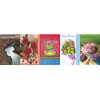 Assorted Birthday Greeting Cards 30 Pack