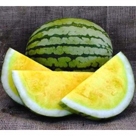 KIRA SEEDS - Seeds Yellow Watermelon 11 lbs - Fruits for Planting - GMO Free