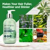 Svvimer Rosemary Hair Thickening Conditioner: Thickening Moisturizing Product with Biotin