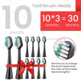 Replacement Toothbrush Heads for AquaSonic Duo and Home Dental Center Electric Toothbruh, Pack of 10, Black