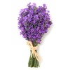 Lavanda - Aceite Esencial Puro 15 ml - Grado Terapéutico