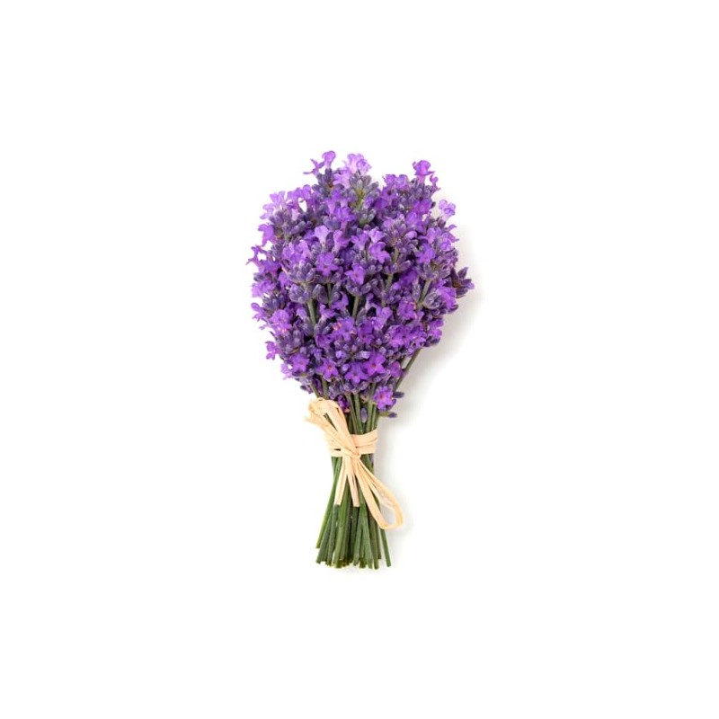 Lavanda - Aceite Esencial Puro 15 ml - Grado Terapéutico