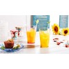 SCANDINOVIA - 19oz Unbreakable Premium Drinking Glasses Set of 6