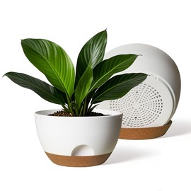 LESOASIS Large Plant Pots 12 inch Self Watering Planter Pots, Plastic Flower Pots Planters with Drainage Holes and Saucers, Nursery Planting Pot for Indoor Outdoor Garden Plants (White)