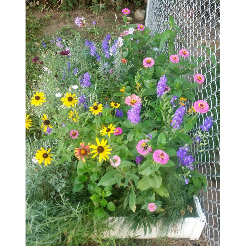 Handy Bed 2 x 4 Stack-able, White, Vinyl, Raised Garden