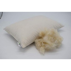 12" x 16" Euro Pillow - Organic Cotton - Kapok Fill