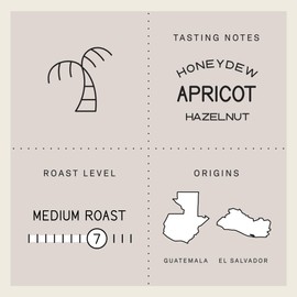 Verve Coffee Roasters Craft Instant Coffee Seabright House Blend | Medium Roast, Ground, Hand-Roasted | Enjoy Hot or Cold | Up to 6 Servings