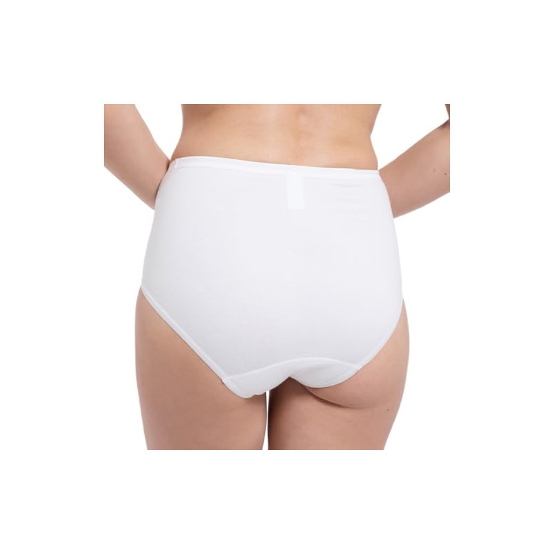 Speidel 9826 Women’s Basic Waist Briefs, Pack of 5 -