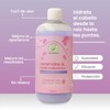 Shampoo Ceramidas Y Ácido Hialurónico Productos Mart Mexico 500 Ml