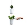 Qualy Oasis QL10307-WH-GY Round Flower Pot with Self-Watering System in