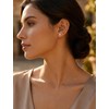 Limerencia Titanium Stud Earrings - Hypoallergenic Earrings for Women Men