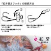 Daiwa Tairaba Replacement Hook, For Red Fang, S, Saxus, Fish