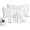 Satin Pillowcase, T Tersely 2 Pack 20"x 30" Silk Satin