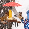 KHayRovies Squirrel Feeder for Outside, Squirrel Picnic Table Feeder with