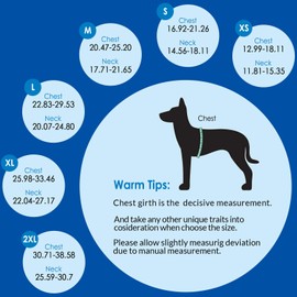 ASENKU Dog Safety Vest with Reflective Stripes, Adjustable High Flotation Dog Life Jacket, Ripstop Pet Lifesaver for Swimming Boating, Lightweight Pet Life Preserver for Small Dogs (Red, S)