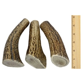 WhiteTail Naturals (3 Pack - Extra Large Whole Elk Antlers for Dogs - Naturally Shed Real Antler Chews - Tough Dog Chew Bones for Aggressive Chewers - Long Lasting Dog Antler