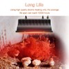 Winter Chicken Coop Heater,Waterproof Heating Lamp for Chicks Ducks Pets
