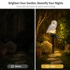 Solar Owl Garden Light for Outdoor Decor – Waterproof LED
