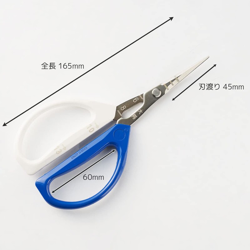 Aguri no Kura Taisho Stainless Steel Grape Shears, Curved Blade