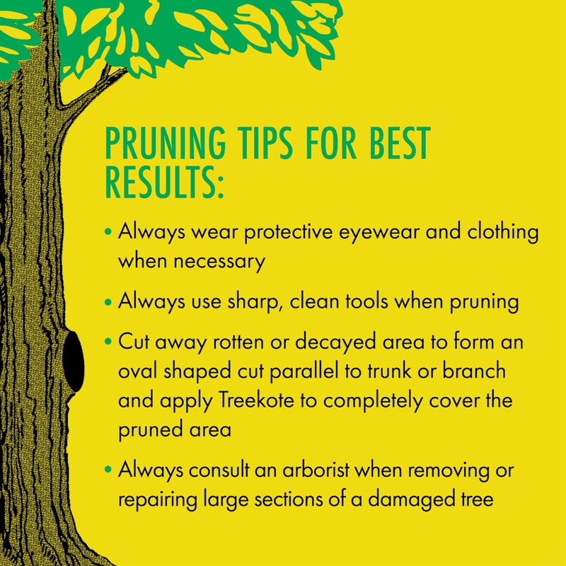 Treekote Wound Dressing Brushtop 32OZ for Trees and Shrubs -