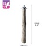 HARI Coffee Wood Bird Perch for Small to Medium Sized
