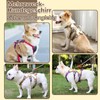 Multi-Purpose Dog Harness with Lead Set, Escape Proof Anti-Pull Dog