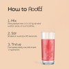 Root'd Multivitamin Powder for Men - 24 Vitamins & Minerals