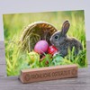 Interluxe Kartenhalter - Fröhliche Osterzeit - Grußkartenhalter Fotohalter Kartenständer Tischkartenhalter
