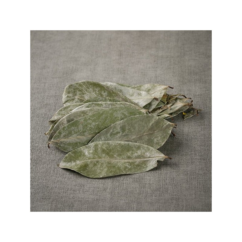 인도네시아 그라비올라 100g 건 건조 잎 차 Indonesian Graviola 100g
