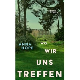 Wo wir uns treffen: Roman