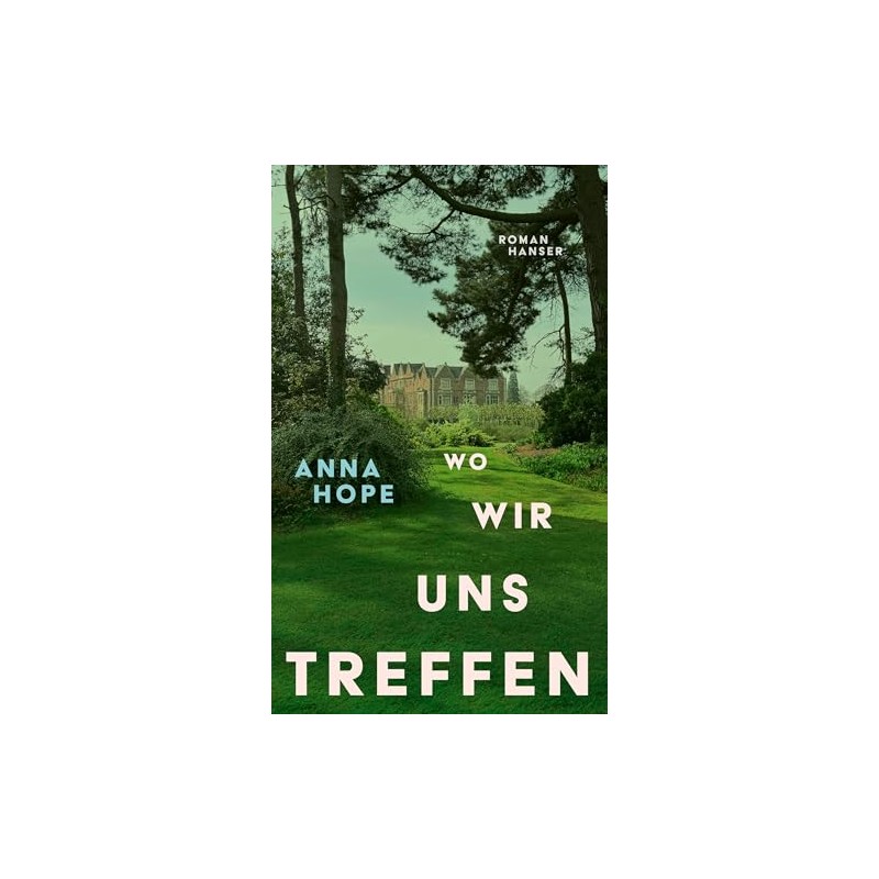 Wo wir uns treffen: Roman