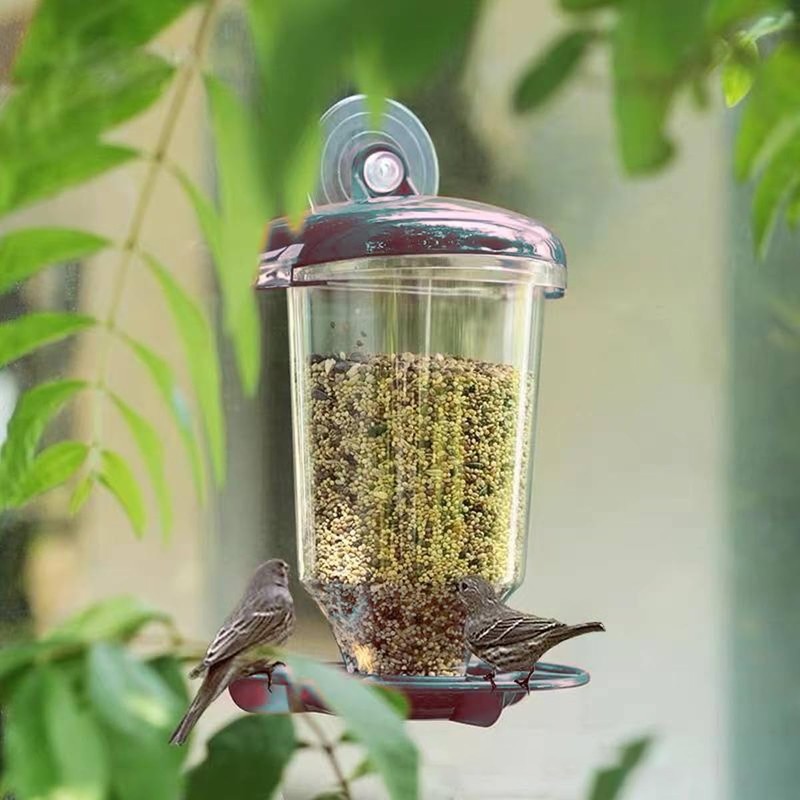 AIMALL Transparent Plastic Automatic Bird Feeder – Creative Hanging Feeder