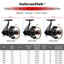 Ashconfish Spinning Reel, Saltwater Spinning Fishing Reels, Freshwater Fishing Reel, Ultra Lightweight Body, 8 Stainless Steel BB, 5.0:1 Gear Ratio, Max 17.6lbs Drag, Come with 109Yards Braided Line