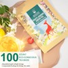 WT WEETEE Fruity Jasmine Green Tea Bags 100 Counts, Flavored