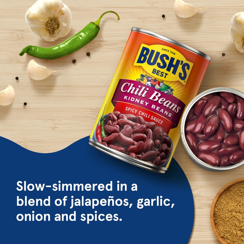 BUSH'S BEST 16 oz Canned Spicy Dark Red Chili Beans,