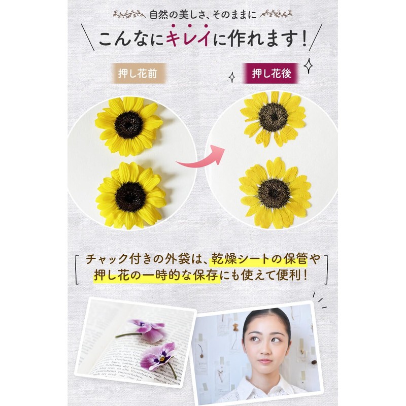 Dream Irokaden Pressed Flower Kit, Pressed Flowers, Drying Sheet, For