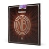 D'Addario Cuerdas de guitarra acústica de bronce y níquel, luz,