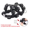 Black Dog Harness