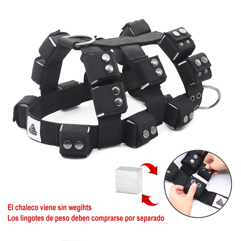 Black Dog Harness