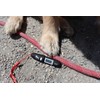 TEMPUP Dog Paw Saver - Keep Your Dog Safe and