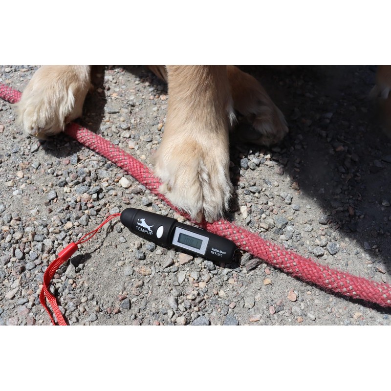 TEMPUP Dog Paw Saver - Keep Your Dog Safe and