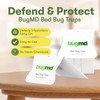 BugMD Bed Bug Trap (1 Pack, 12 Traps) - Interceptors,